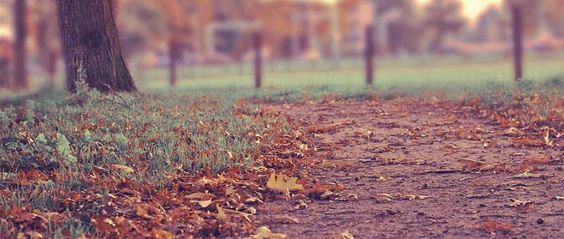 骚扰手机号呼叫软件